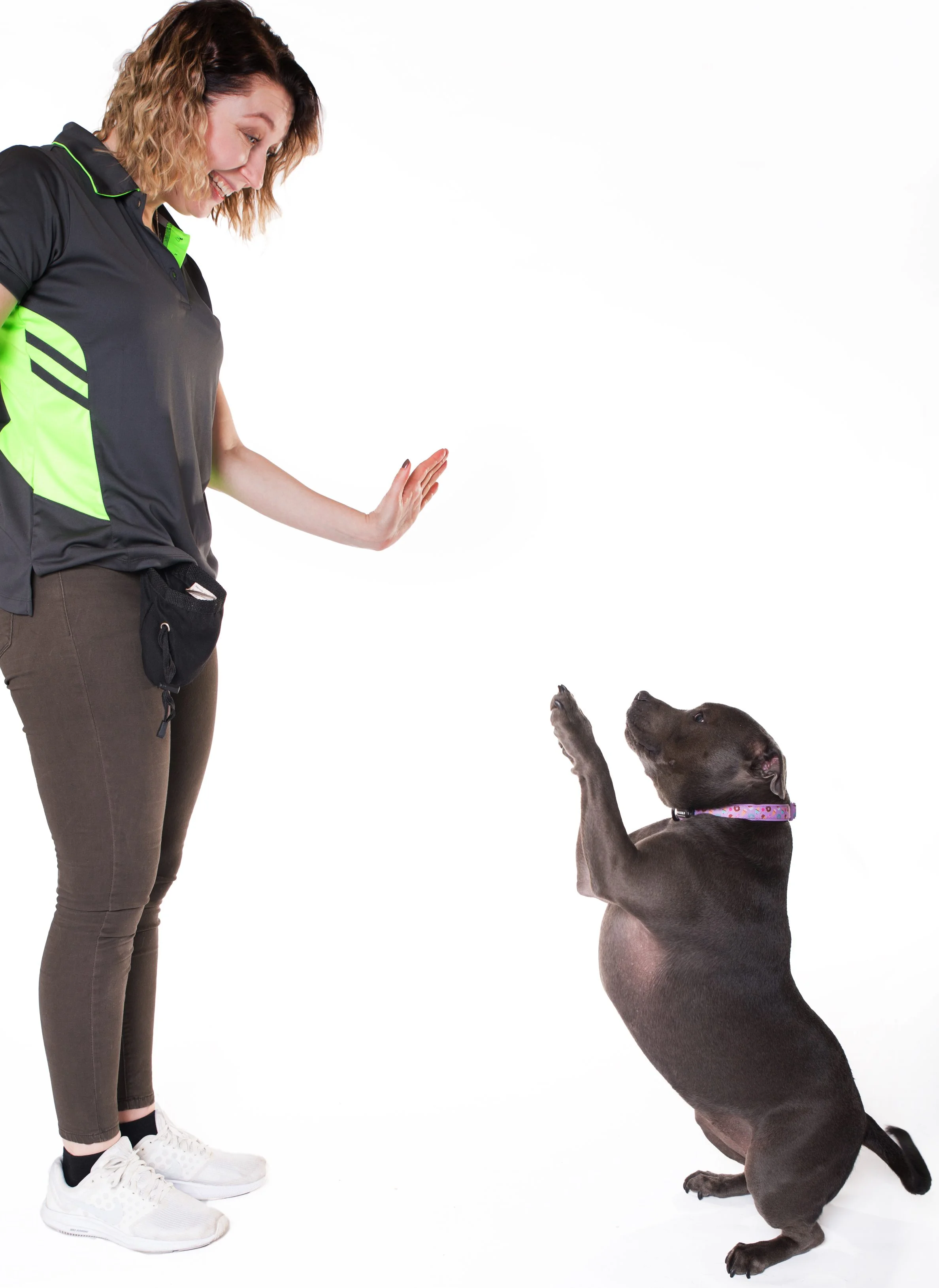 Dog Trainer Arncliffe