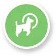 dog training inner west sydney
