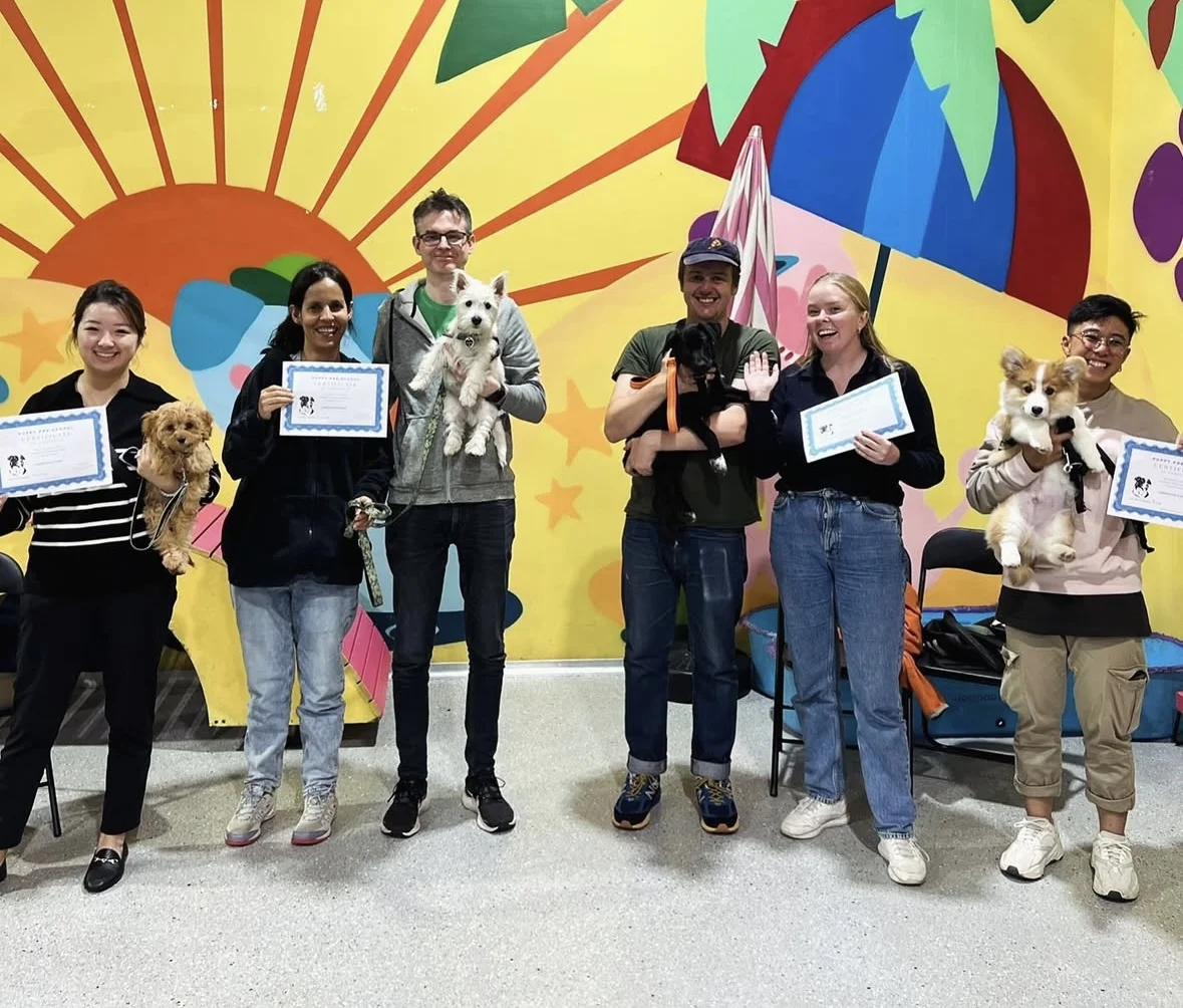 Puppy School Sydney