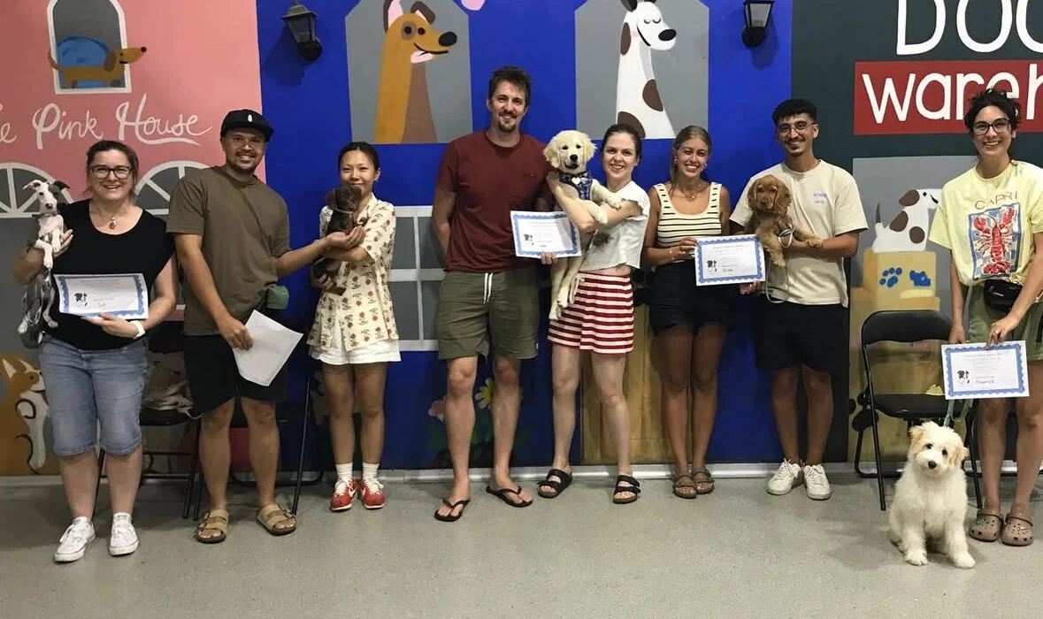 puppy school class Alexandria