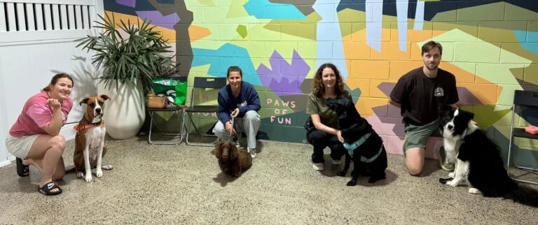 Camperdown obedience class
