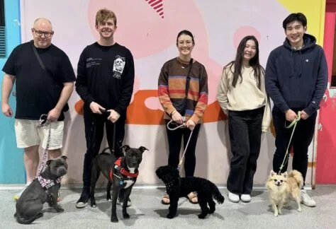 teen dog class Newtown / St Peters