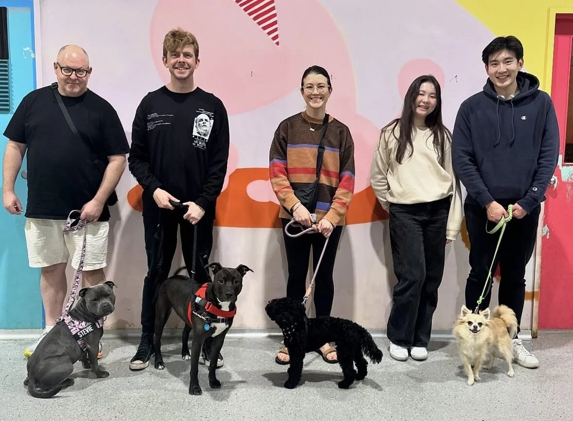 teen dog class Newtown / St Peters