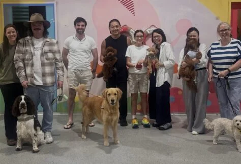 obedience class Marrickville