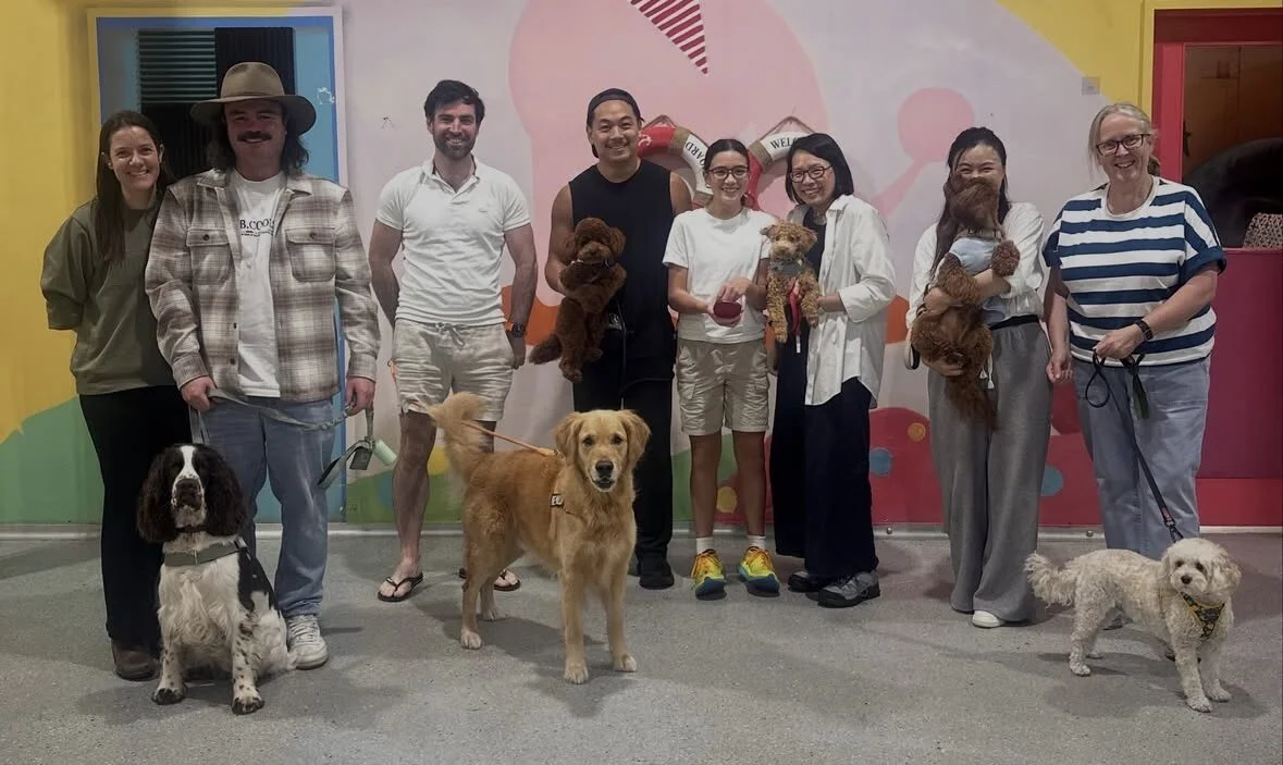 obedience class Marrickville