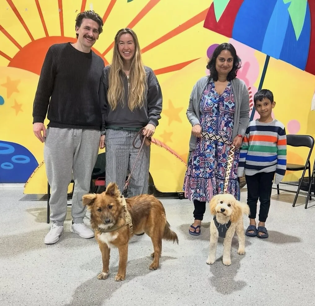 leash training class for dogs Sydney