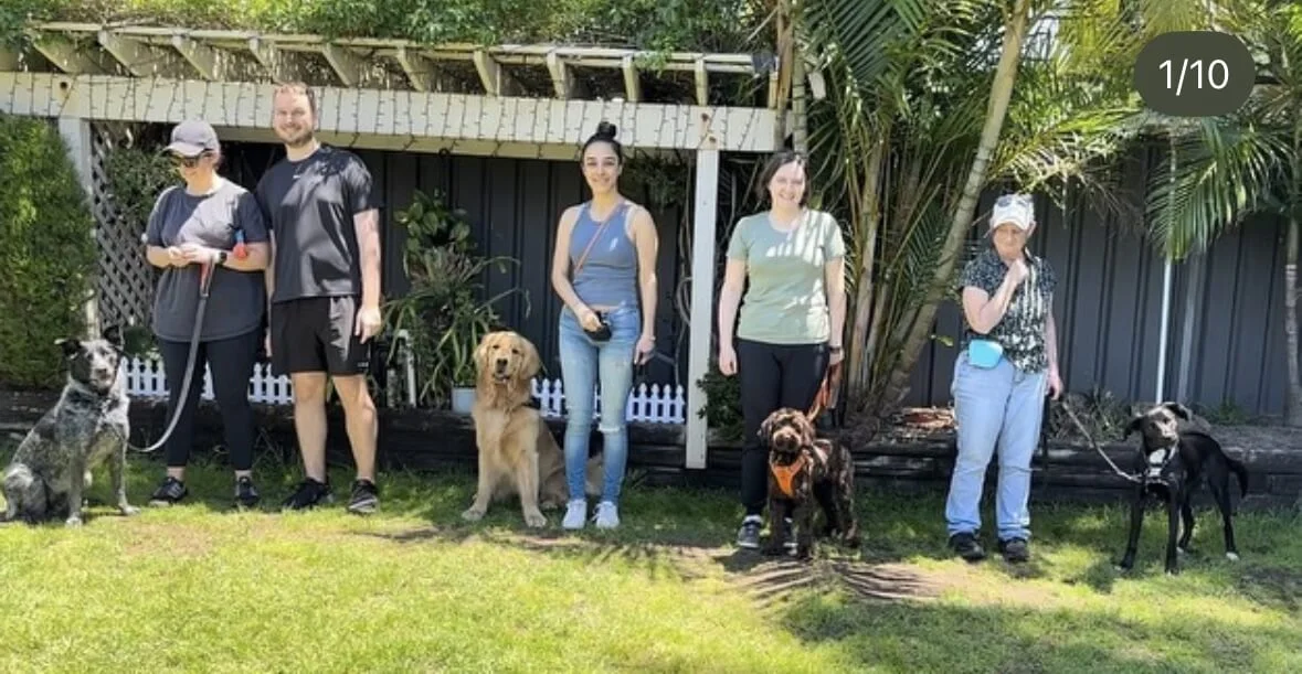 dog obedience class Mascot