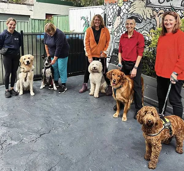 dog obedience classes Sydney