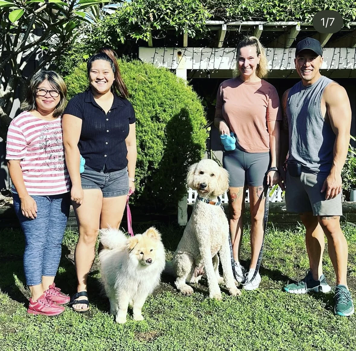dog obedience classes in Mascot