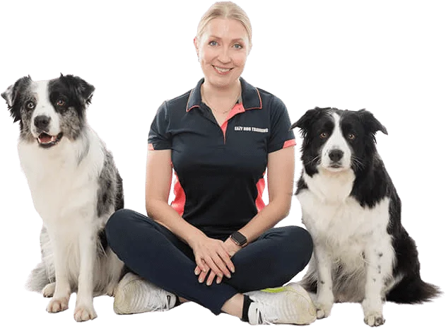 dog trainer Sydney