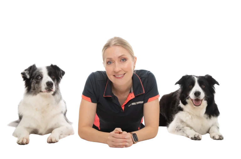 dog trainer