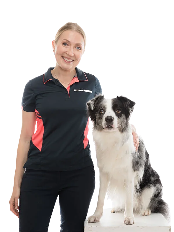 Dog training Center