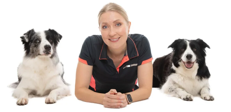 professional dog training Sydney