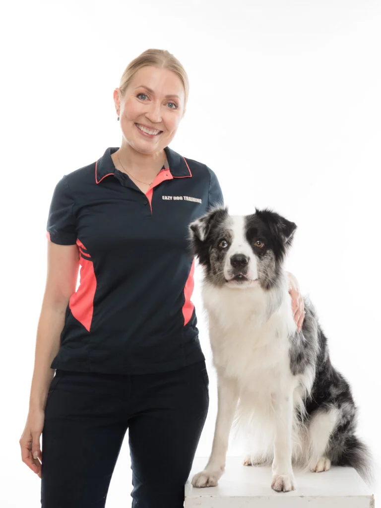Dog training