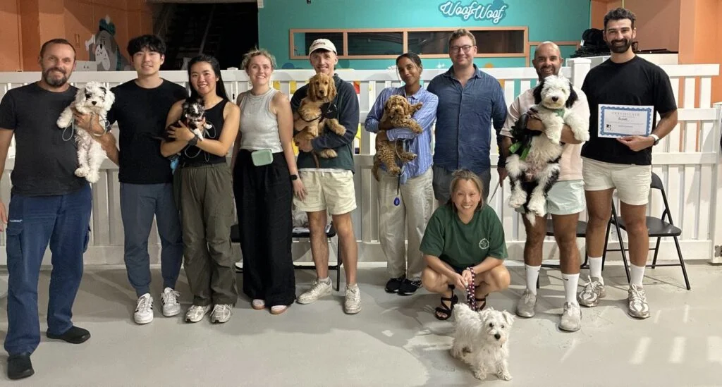 Puppy school Zetland