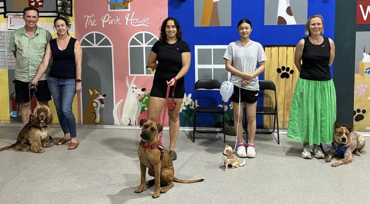 advanced dog obedience class Sydney