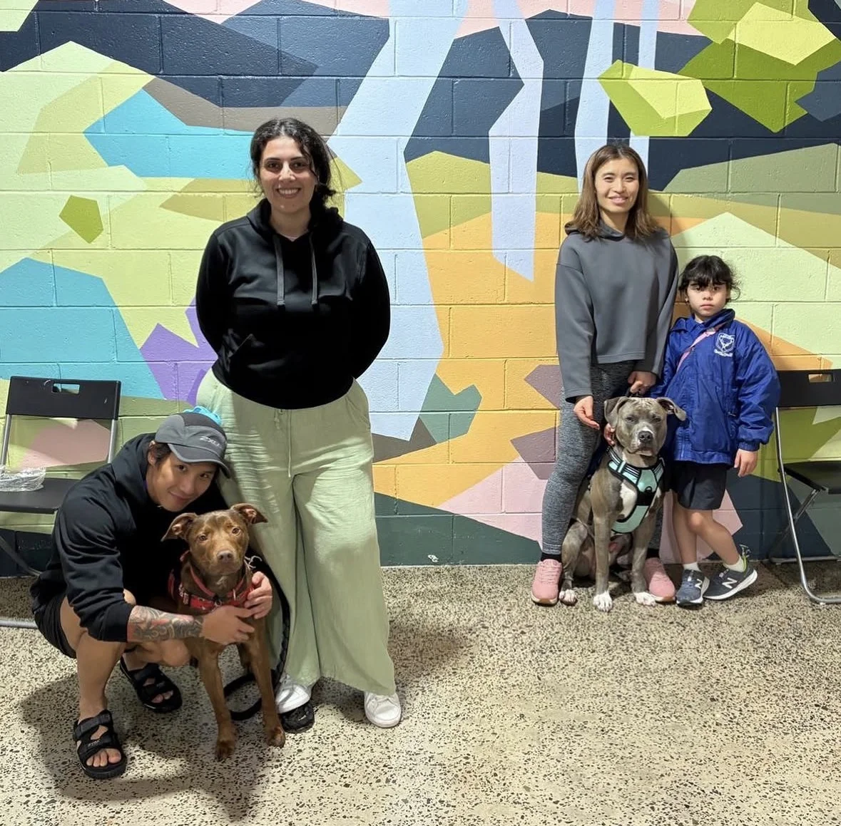 dog obedience training Zetland