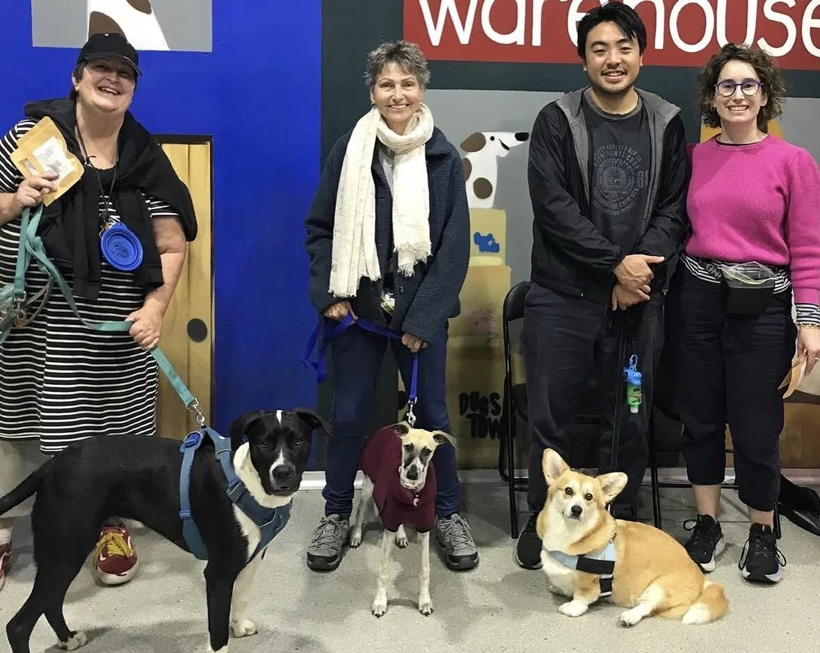Dog Obedience Class Zetland