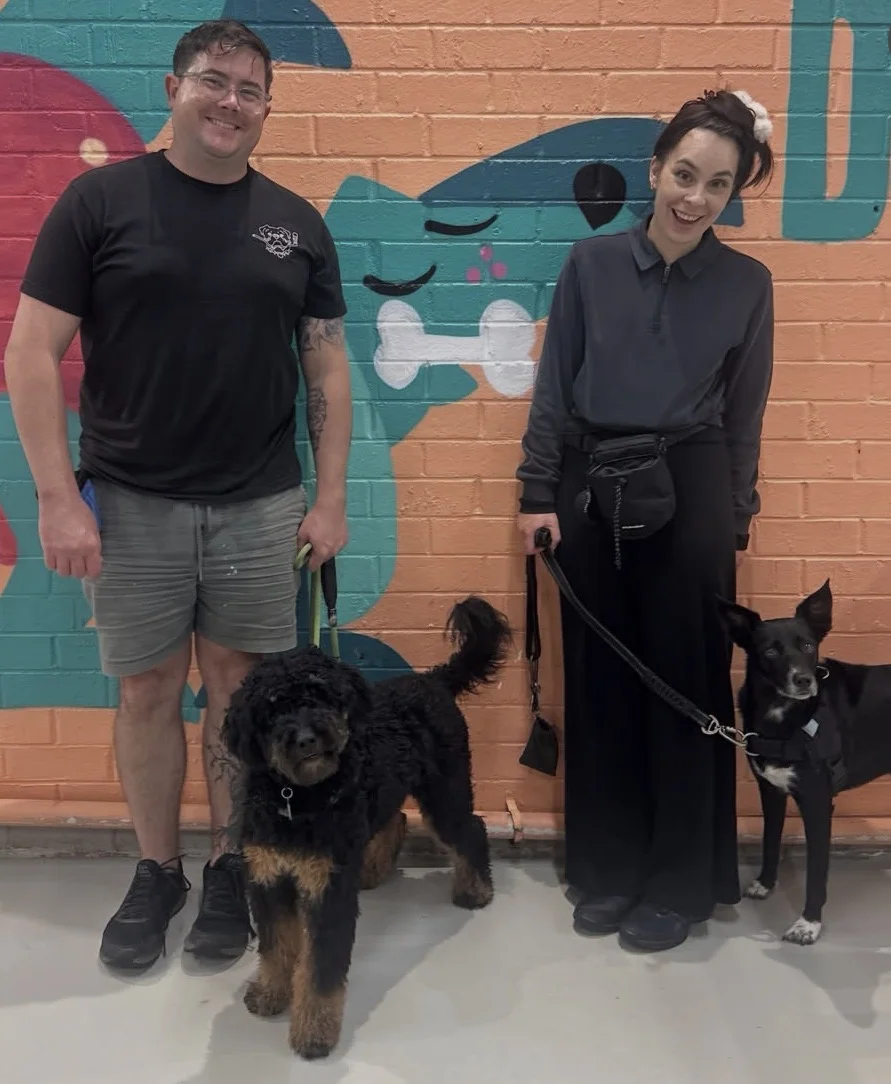 Canine Nosework Class Sydney