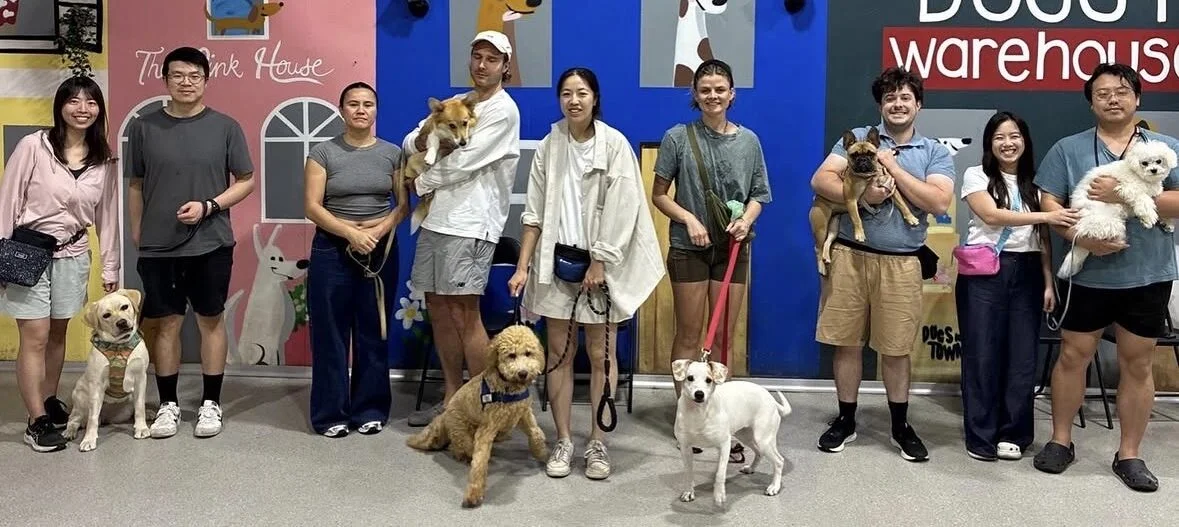 teen dog class Sydney