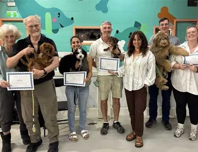 dog training