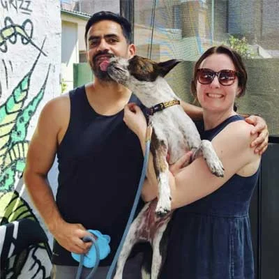 dog obedience training Inner West Sydney