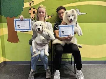 puppy school class St Peters