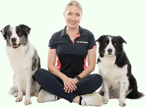 reactivity training Sydney